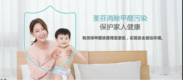 室内除甲醛都是骗人的？如何鉴别呢