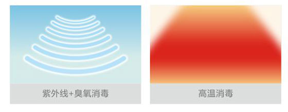 澳洲小树熊|让健康的“轻奢华”成为日常，安全不止于“新时尚”