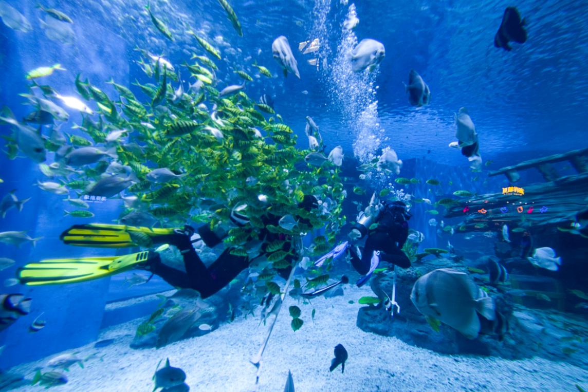 重庆融创文旅城盛大启幕，世界级旅游目的地带动城市新发展