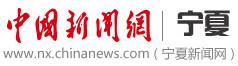 中国新闻网宁夏