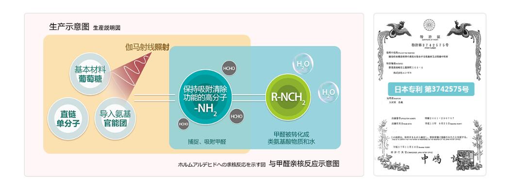 揭秘你所不知道的除甲醛公司