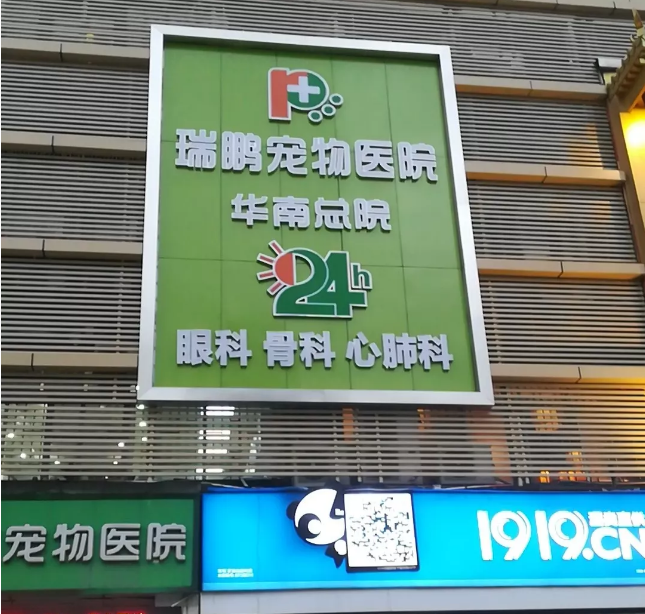 13.png